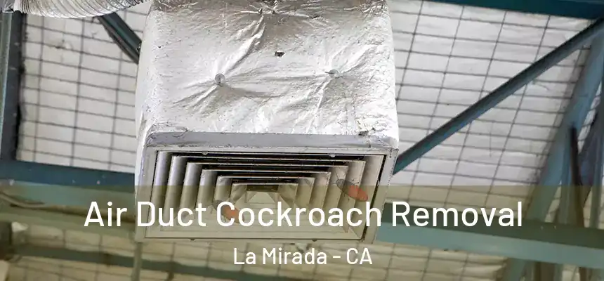 Air Duct Cockroach Removal La Mirada - CA