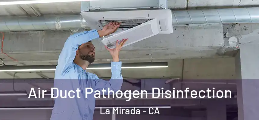  Air Duct Pathogen Disinfection La Mirada - CA