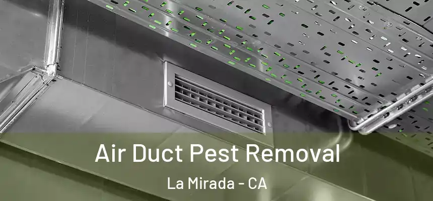 Air Duct Pest Removal La Mirada - CA