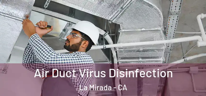  Air Duct Virus Disinfection La Mirada - CA