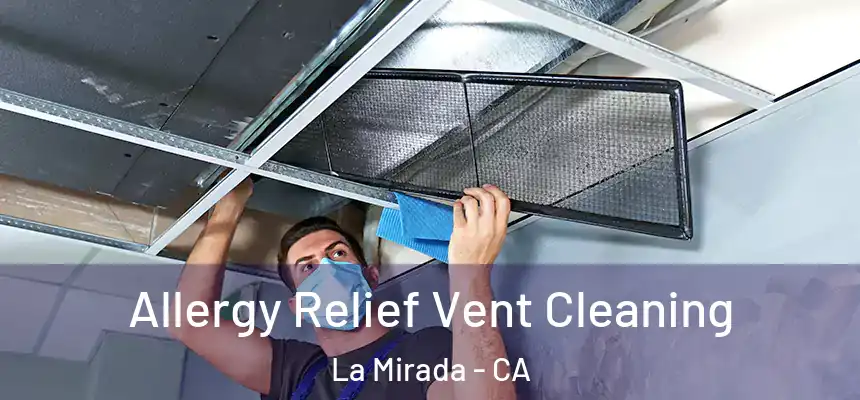 Allergy Relief Vent Cleaning La Mirada - CA