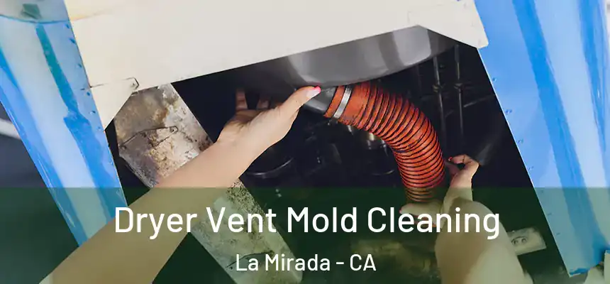  Dryer Vent Mold Cleaning La Mirada - CA
