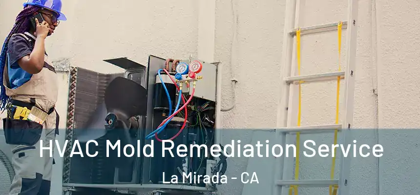  HVAC Mold Remediation Service La Mirada - CA