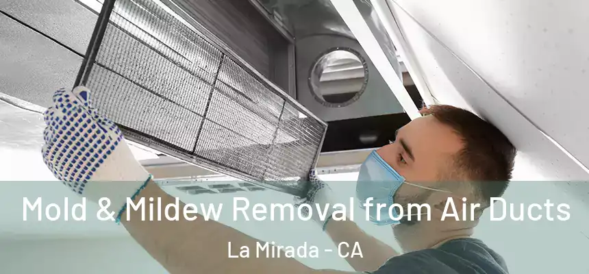  Mold & Mildew Removal from Air Ducts La Mirada - CA