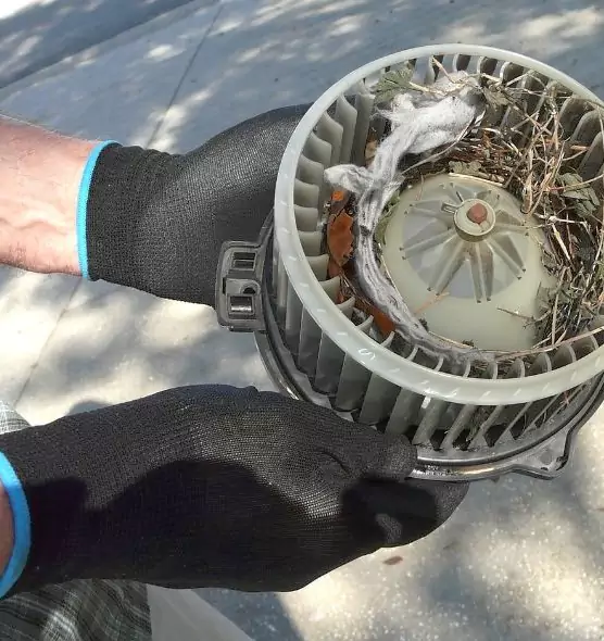 About Air Duct Mice Removal in La Mirada, CA