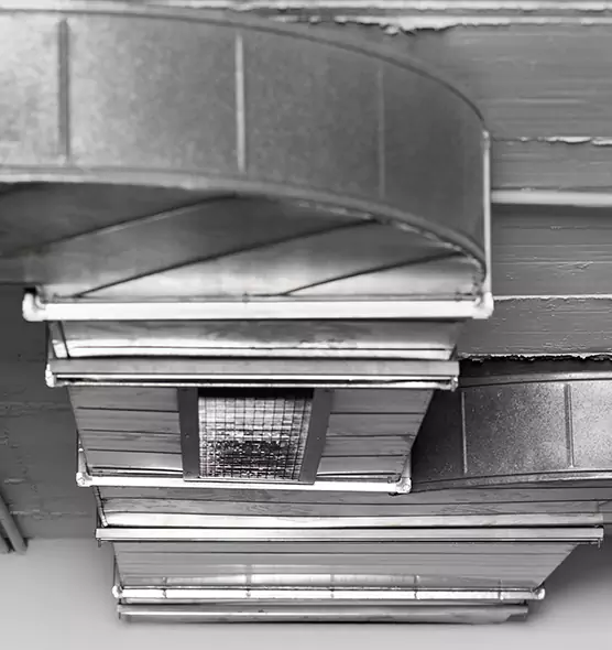 Professional Air Duct Pest Removal in La Mirada, CA