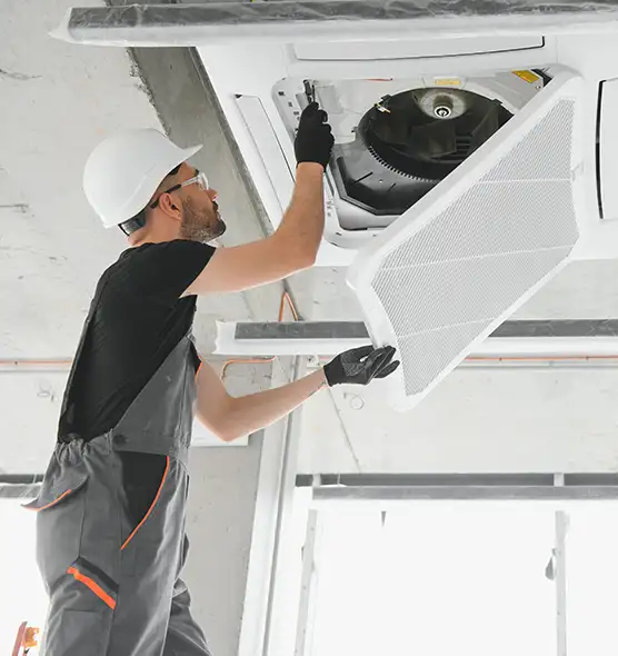 About Air Duct Rodent Removal in La Mirada, CA