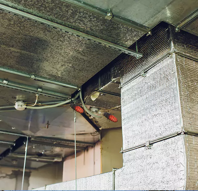 Why Homeowners & Businesses Trust Us in La Mirada, CA?