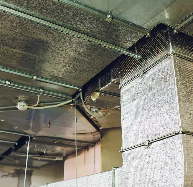 Why Homeowners & Businesses Trust Us in La Mirada, CA?